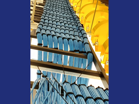 WhatsApp Image 2019-05-04 at 17.00.09